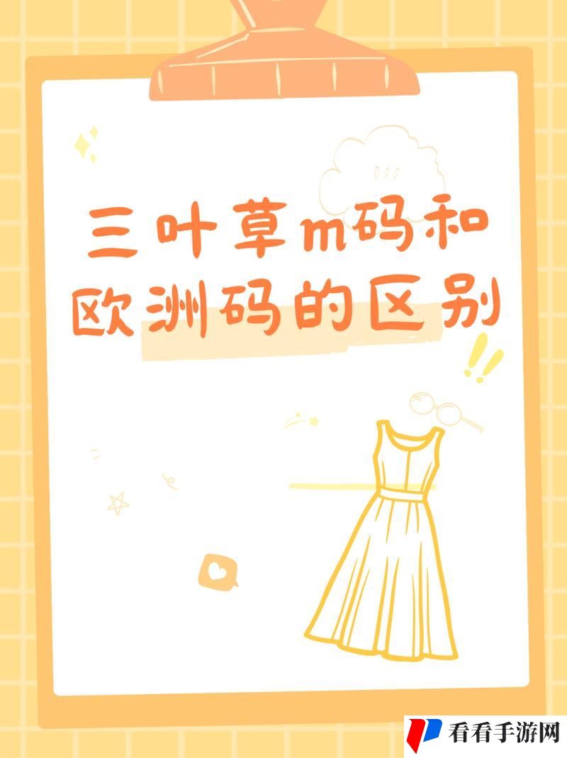 三叶草M码与欧洲码如何选择