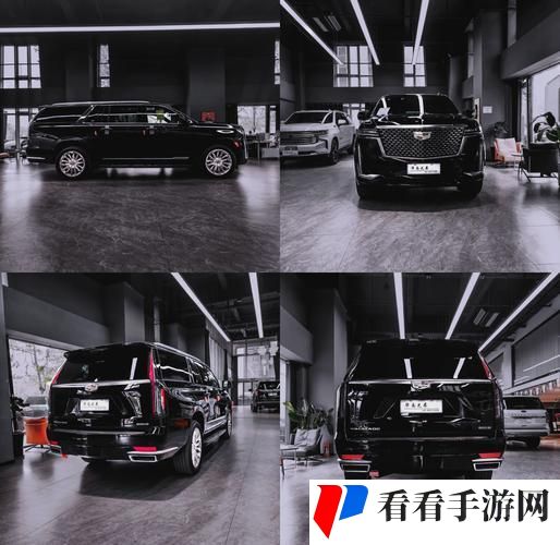 办公室欧美大尺寸suv
