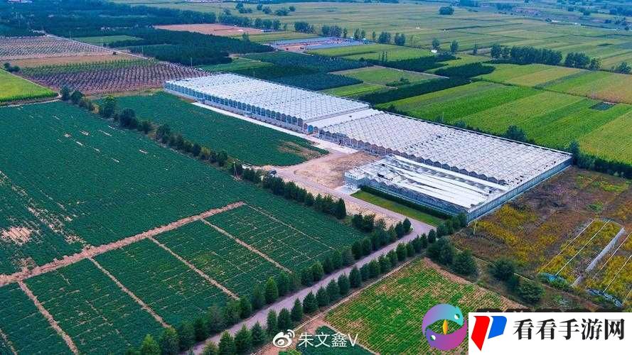 精产一二三产区 m553 优质产品的独特魅力与呈现
