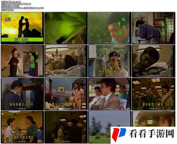 含羞草免费观看电视剧