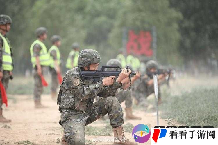 提枪直入两扇门震撼视频：直击现场的独特画面