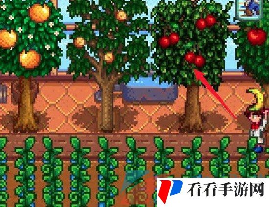 《星露谷物语》果酱制作方法
