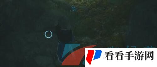 《燕云十六声》奇术红尘障目获得方法