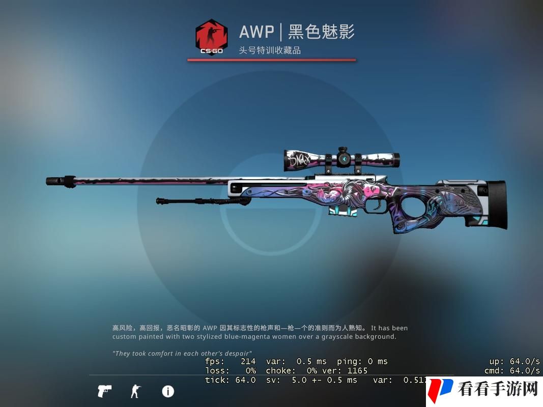 日本csgo大姐姐awp