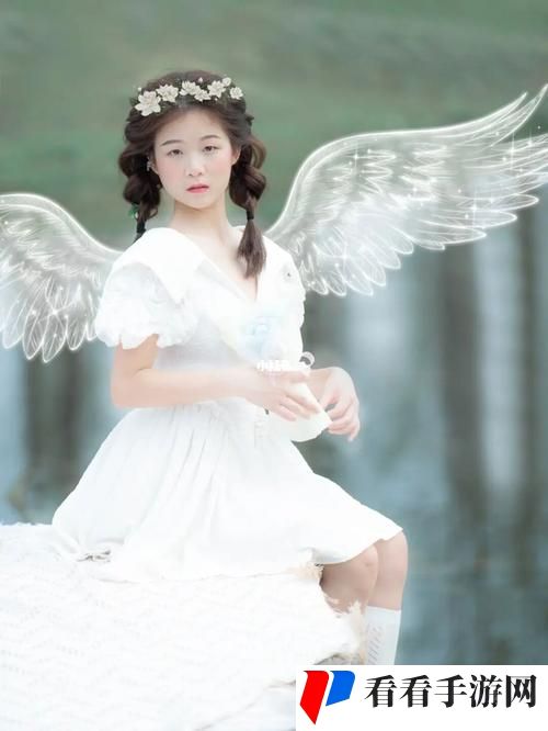 少女视频高清免费素材软件