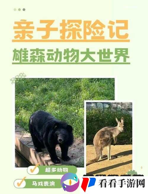 最新美国 ZOOM 动物的奇妙探索之旅