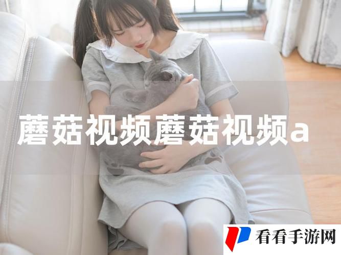 交资源www站蘑菇视频