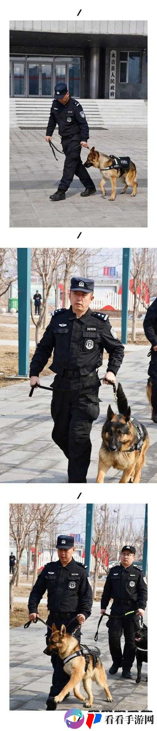 张警犬 9 分 10 秒头撞玻璃在线观看：被虐警犬引发争议