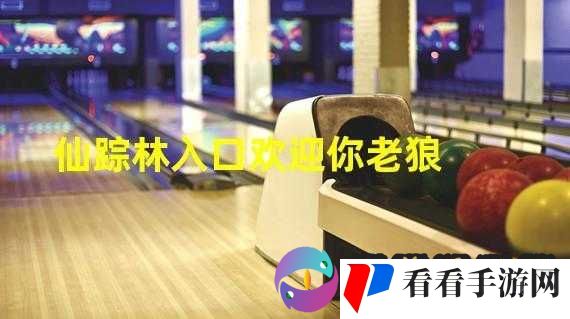 仙踪林在线入口欢迎您这里有你意想不到的惊喜等你发现