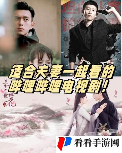 适合夫妻看的哔哩哔哩电视剧
