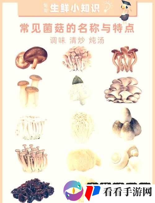 蘑菇蘑菇官网入口 ios 下载：带你进入奇妙的蘑菇世界