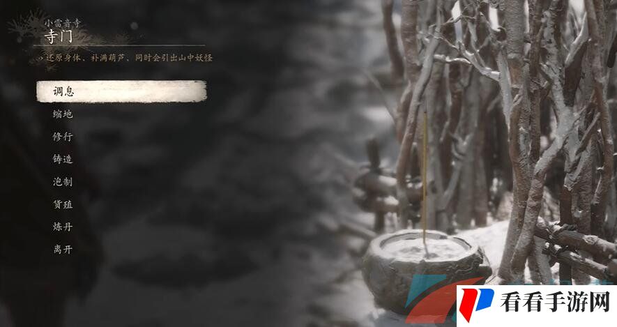 《黑神话悟空》有情众生三十四难成就攻略