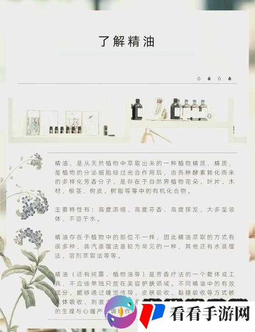 精油一线二线三线区:不同级别精油区域的特点与差异分析