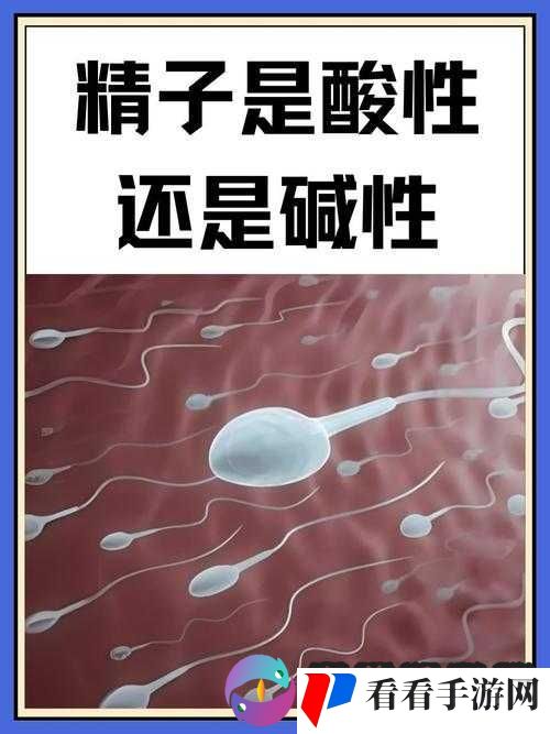女人的**有什么作用:深入探讨其潜在意义和影响