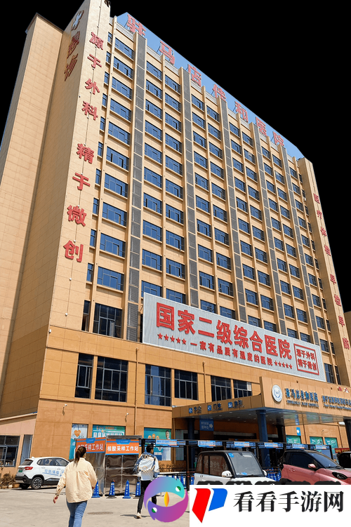 佳柔和医院长第 2:一段充满挑战与奇迹的医疗之旅