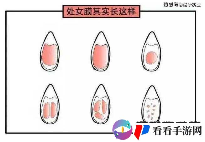 中出处女:关于中出处女的详细介绍与深入探讨