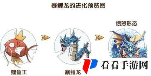 暴鲤龙的传奇之路,从鲤鱼王到战斗精英的全面解析