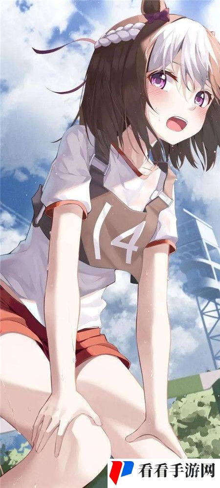 91视频观看