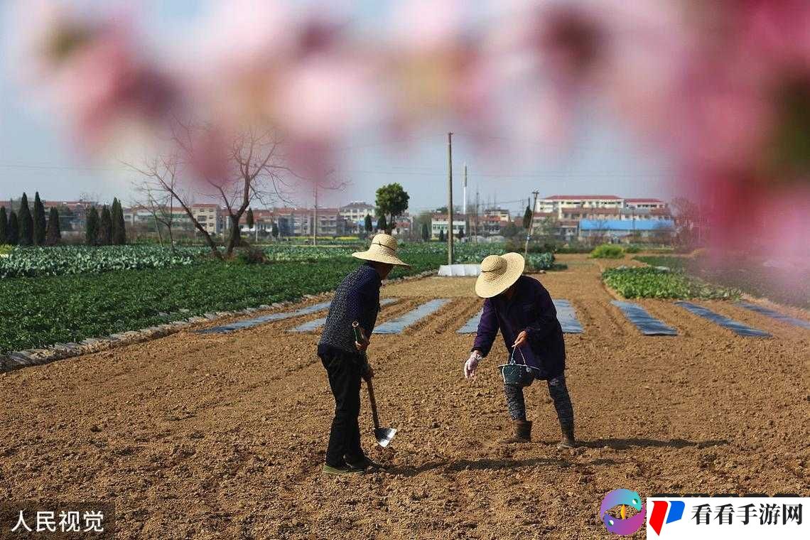 耕种母亲肥沃的土地：一段饱含深情与汗水的耕耘之旅