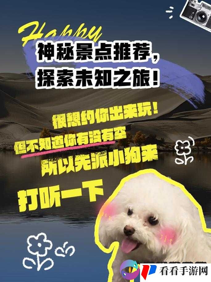 大坤戳进大括号:探寻其中的神秘与未知之旅
