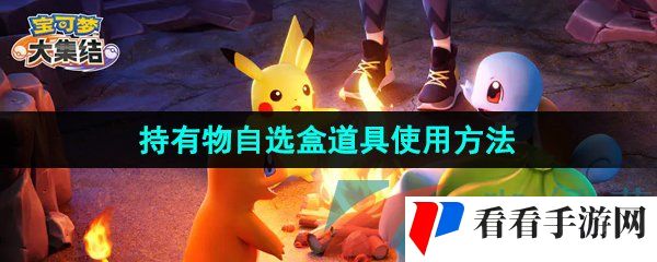 《宝可梦大集结》持有物自选盒道具使用方法