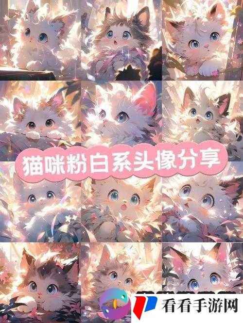 甜甜萌物语新版本,梦幻衣橱大揭秘,萌力全开!