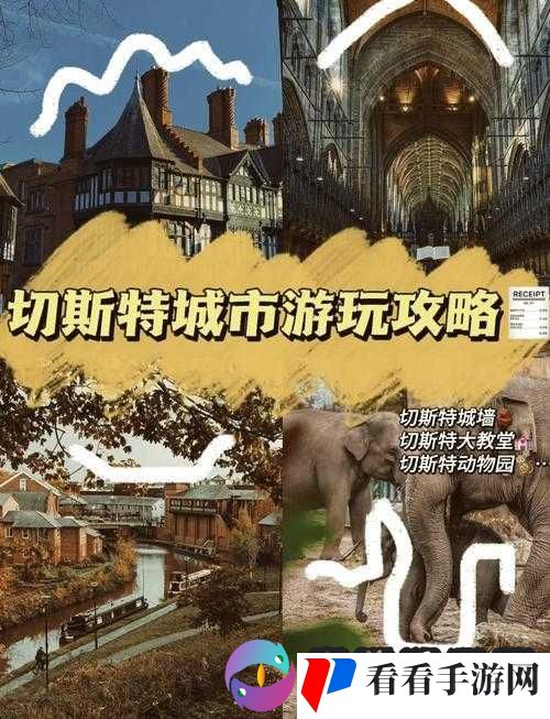 宝宝用点力 c 我,让我们一起探索奇妙之旅