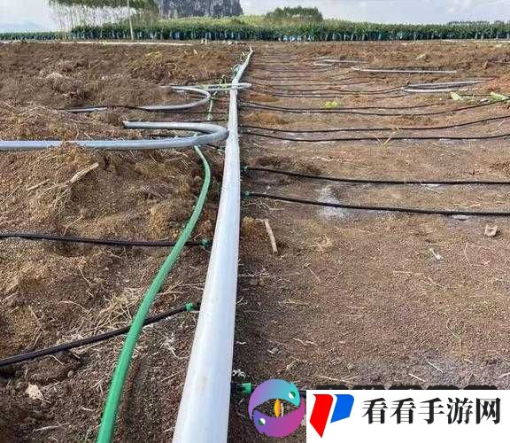 JY 灌溉系统 NPC :打造高效农业灌溉的核心力量
