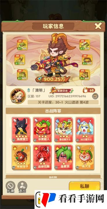 保卫向日葵双系阵容怎么搭配