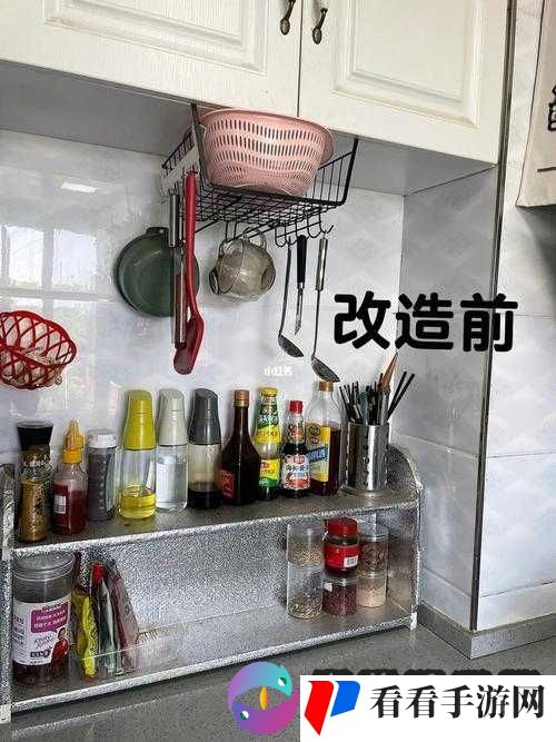 厨房里激战 2 与普通版对比:深入剖析二者差异与特色