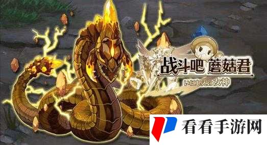 战斗吧蘑菇君,金属猎人活动深度玩法指南