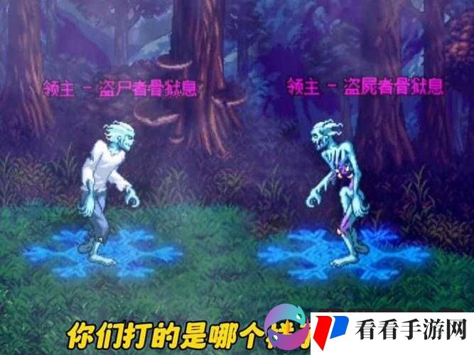 DNF老玩家想回归无奈30分钟就脱坑,资源管理视角下的深度剖析