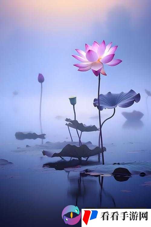芦苇地里要母亲要说福:探寻背后的温暖与深情