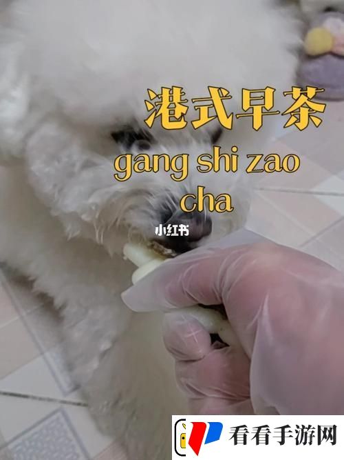 详尽解析美国人与动物胶配方大全