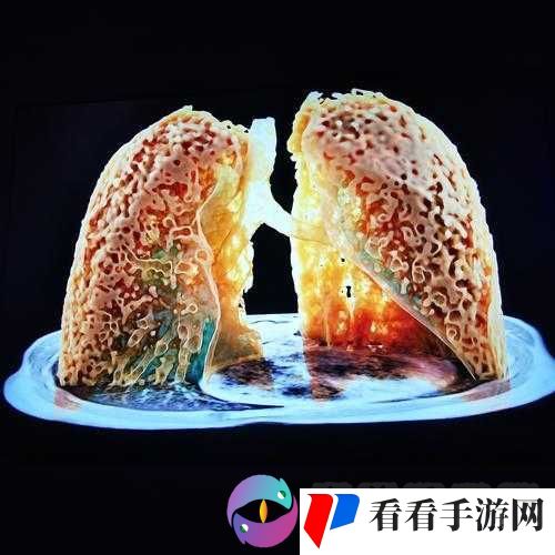 清风阁免费观看:带给你前所未有的视觉体验盛宴
