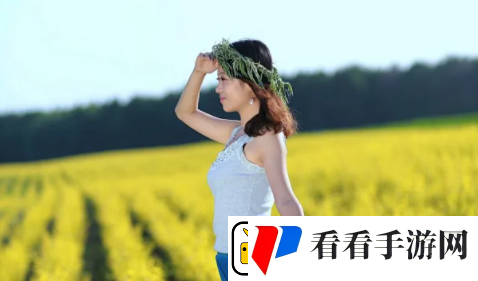 暴躁大妈荒野大镖客
