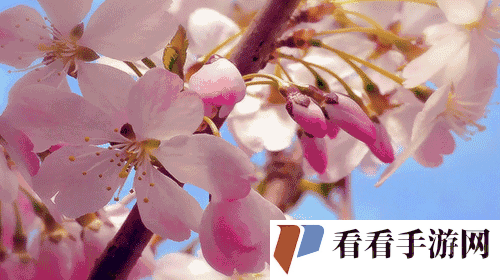 深入探寻她那花苞的奇妙之旅:啊太深了 gif 呈现
