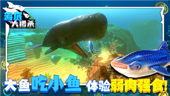 赛博朋克2077超梦怎么找到relic？探索RELIC的隐藏路径和相关任务流程