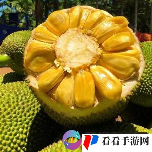 菠萝菠萝蜜视频在线高清视频:带你领略精彩的视觉盛宴