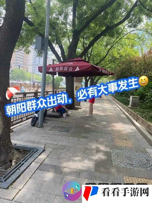 热心的朝阳群众 51cg4fun:为社区传递温暖与力量
