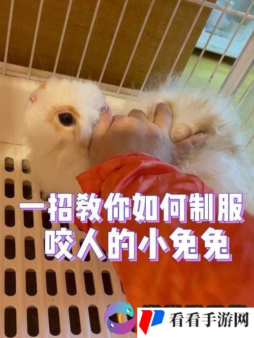 男朋友咬小兔兔适宜时长该如何把控呢