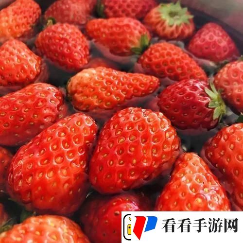 草莓色多多