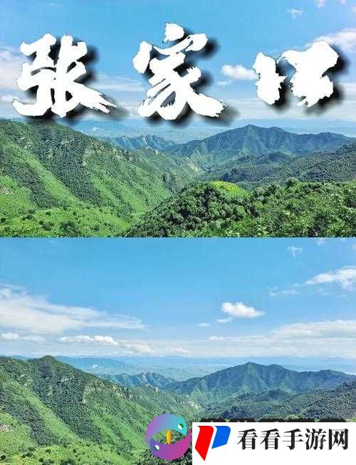 国内久经典 AAAAA 片之独特魅力与深刻内涵探讨