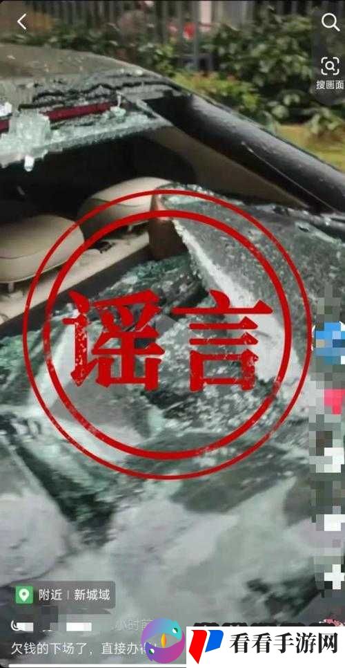 y1uan 大家庭被造谣:真相究竟如何令人关注