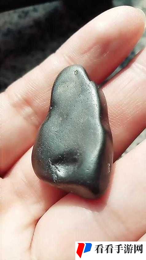 有一根又黑又硬的