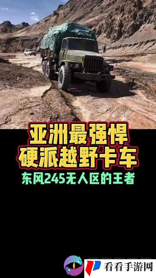 亚洲无人区码 SUV:荒野中的神秘力量