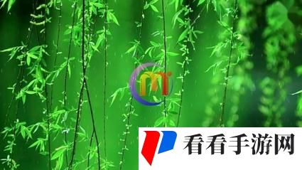 春雨免费视频
