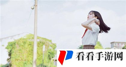 成免费crm1.6.8：一款功能强大的客户关系管理工具