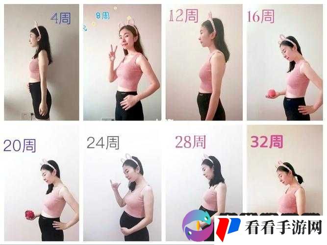 WINDOWSCHANNEL 孕妇:孕期生活的独特记录与分享