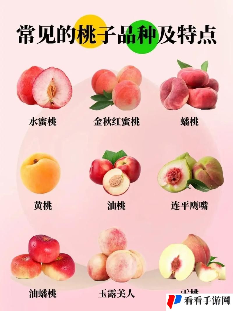 水蜜桃一卡2卡3卡4卡